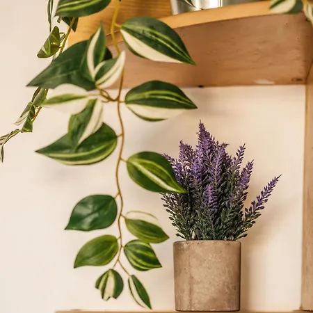 Serenityone - Centrally Located One Bedroom